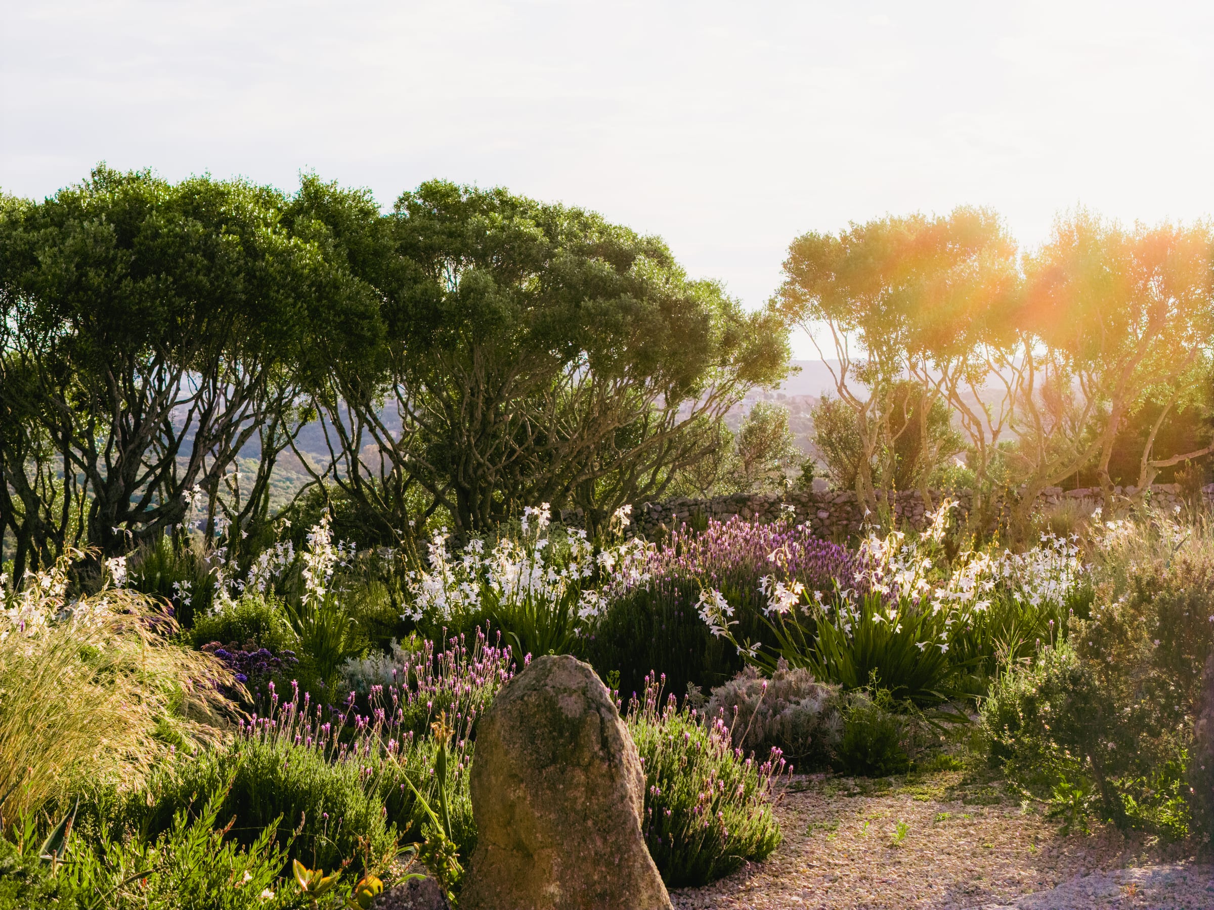 Coastal landscape