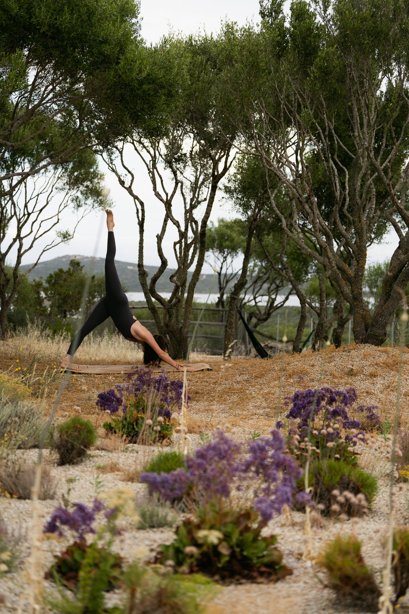 Mediterranean, plant-forward lifestyle
